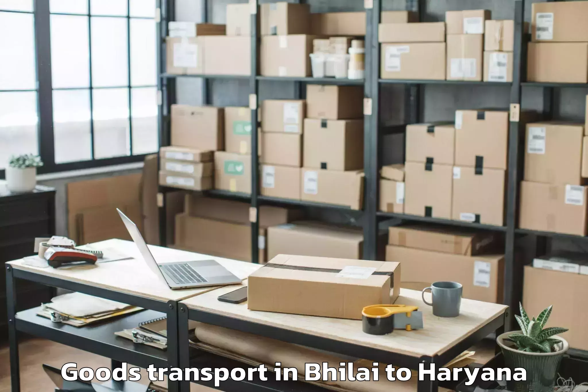 Affordable Bhilai to Mvn University Palwal Goods Transport